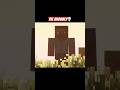 Herobrine S Cousin The Anomaly Minecraft Gaming Minecrafthorror Herobrine Skinwalker Scary Herobrine S Cousin The Anomaly Minecraft Gaming Minecrafthorror Herobrine Skinwalker Scary