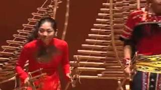 Vietnamese Ethnic Instruments - The Red Dragon-fly (Japanese song) - VYFB Performed in Japan