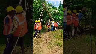 Manual Pole erection, #shorts, #teamwork, #electric