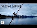 Рыбалка в Норвегии с берега. Рыбалка на донки или когда рыба бастует... Норвегия. Рыбалка