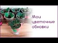 Мои цветочные обновки