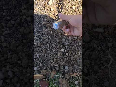 ۱ این کار باید در انتهای فصل سرد انجام بشه۲ حتما حتما خزانه باید از زمین دور باشه