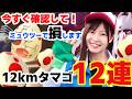 【今すぐ確認して】ミュウツーで損します!12kmタマゴ12連💨