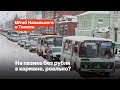 На пазике без рубля в кармане, реально?