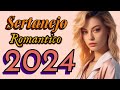 Sertanejo raiz  2024  as  22  melhores  romanticas antigas  amilton musicas love