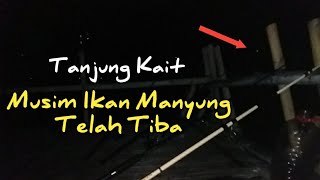 Mancing di awal Musim Ikan manyung || Mancing bagan Tanjung Kait