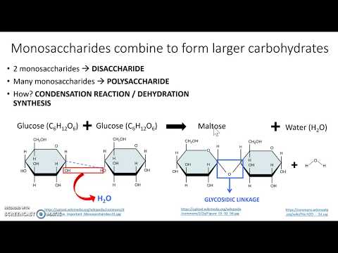 Monosaccharides and disaccharides