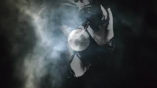 Hisashi 2 0 - Paradox Silence (lyrics video)