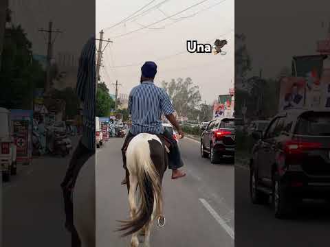 ghoda status video #newsong #punjabisong #punjabimusic #music #newmusic #like #automobile #khalsafua
