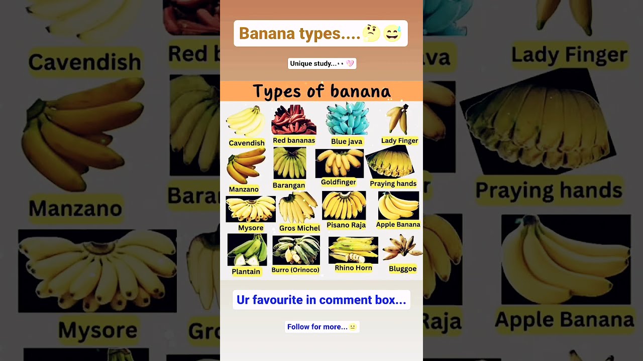 Banana Types In English