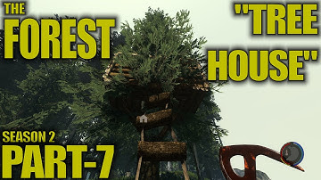 The Forest Survival Gameplay / Let