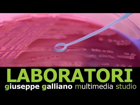 Video: Studio Di Stabilità Fisica, Chimica E Microbiologica Di Colliri Di Atropina Diluiti