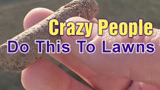 Only TRUE Lawn Care Nuts EVER Do This // My BEST Manual Core Aeration Tips