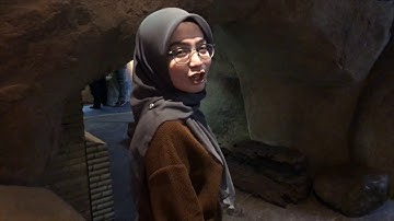 IPHONE 7 PLUS + ZHIYUN SMOOTH 4