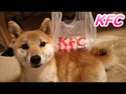 ドリームファンタジー新潟