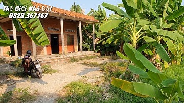 Nhà vườn Long An | Nhà cấp 4 | Nhà vườn cây ăn trái ao cá giá rẻ