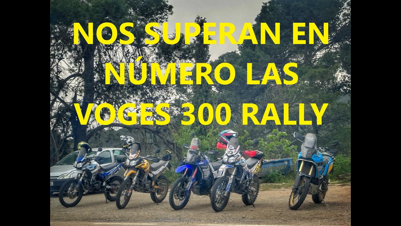 Nos superan en número las Voges 300 Rally @vitetranquitrail3612