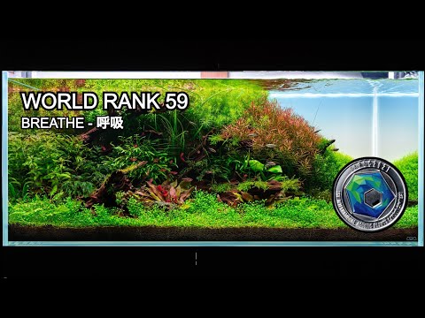 Nature Aquascape Start