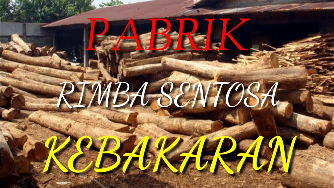 Top Baru Pabrik Penerima Serbuk Kayu  Kerajinan Limbah