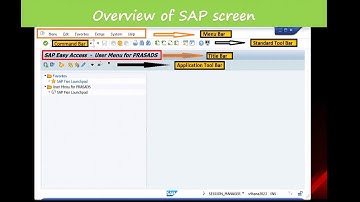 SAP GUI Screen Navigation.