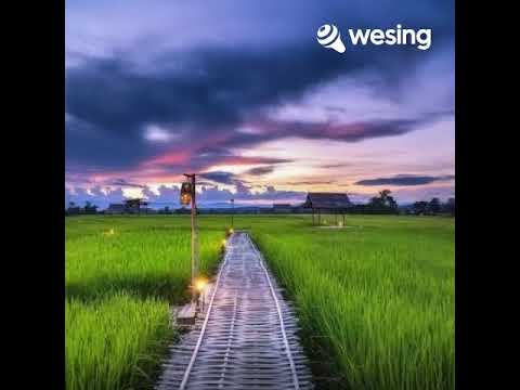เคียวเกี่ยวใจ WeSing
