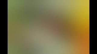 suara pikat burung kolibri ampuh #kolibri #konin #sogon#sepahraja #pikatampuh #bantu_sub 🙏