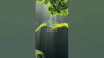 رَبَّنَا إِنَّكَ تَعْلَمُ مَا نُخْفِي وَمَا نُعْلِنُ ۗ   - بصوت القارئ الشيخ  أحمد النفيس