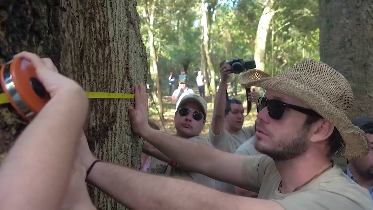 Primer Viaje de Fiscalización de Colosos de la Tierra 6ta. Edición. camera iphone 8 plus apk