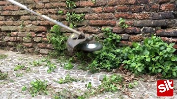 String Trimmer Brush: Clean city walls and walkways - EXTREME - SITBRUSH