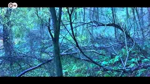 Photographer Michael Lange | Euromaxx