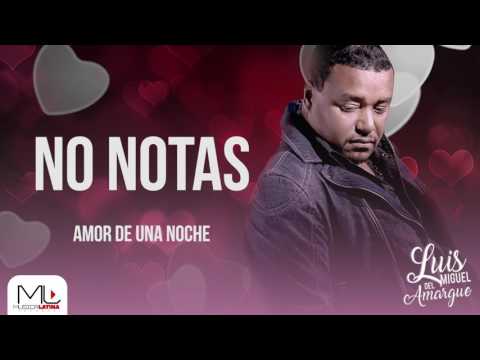 No Notas - Luis Miguel del Amargue - Audio Oficial