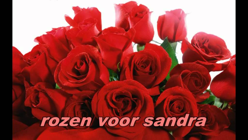rozen voor sandra.mpg YouTube rozen voor sandra.mpg YouTube