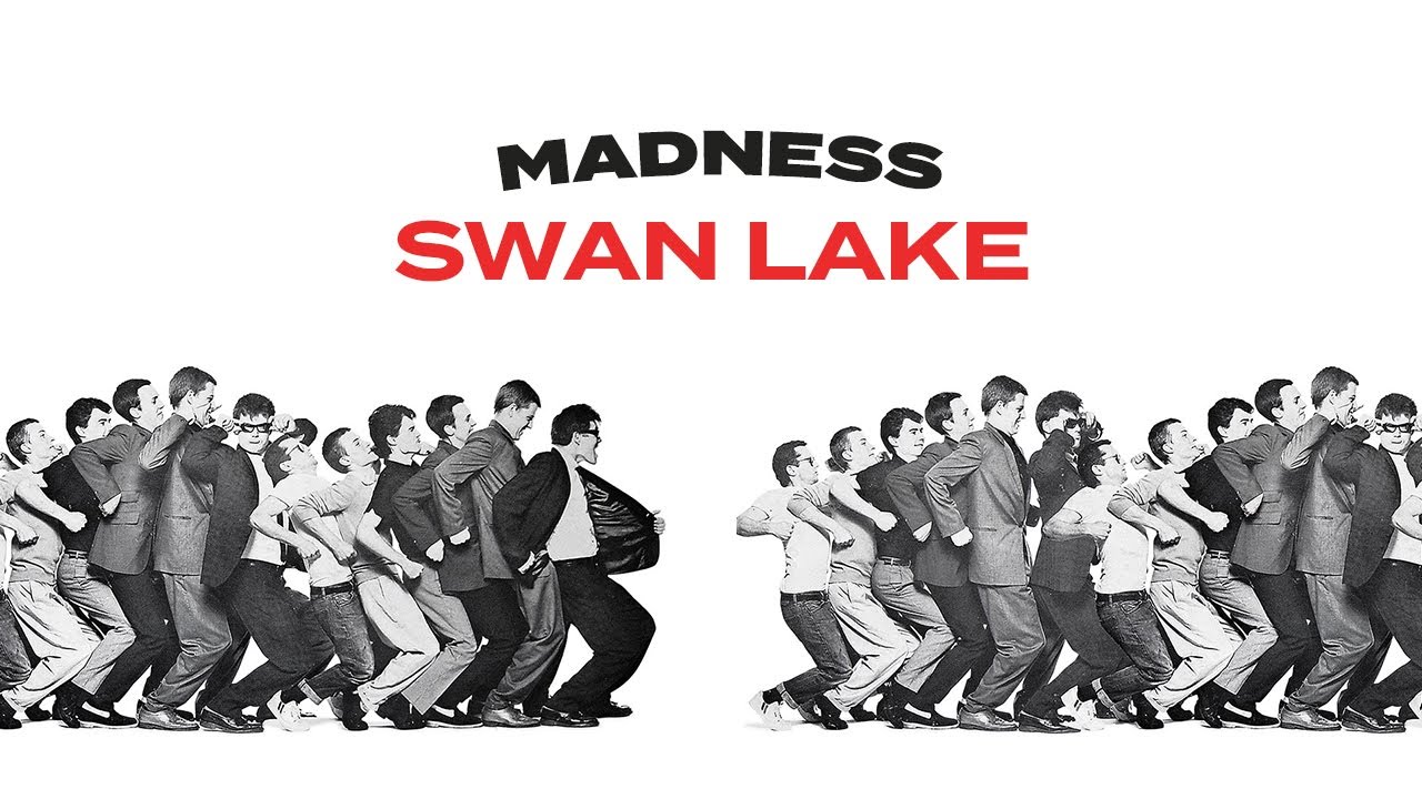 在 YouTube 上觀看「Madness - Swan Lake (Official Audio)」