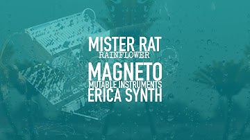 RAINFLOWER /  Mutable Rings - Strymon Magneto