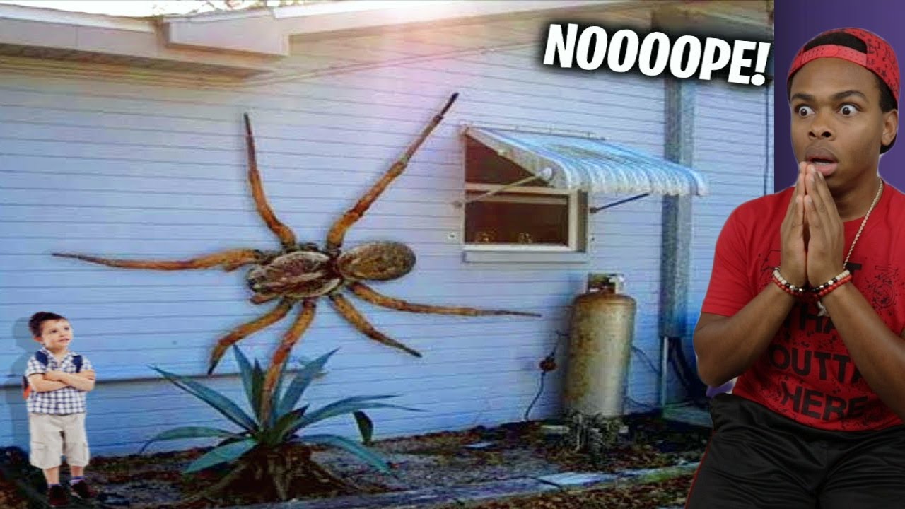 Photos That Will MAKE You Say NOOOPE