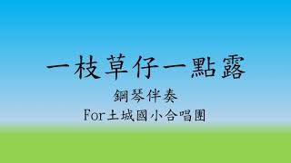 一枝草仔一點露伴奏