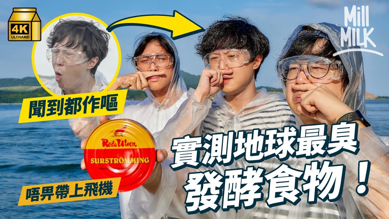 #MM｜試食世界最臭發酵食物「瑞典鯡魚罐頭」　與腐壞食物只一線之差？營養師指多吃發酵食物會長壽！由臭豆腐到藍芝士　認識發酵食物的科學和歷史｜#Weekly_pedia #4K