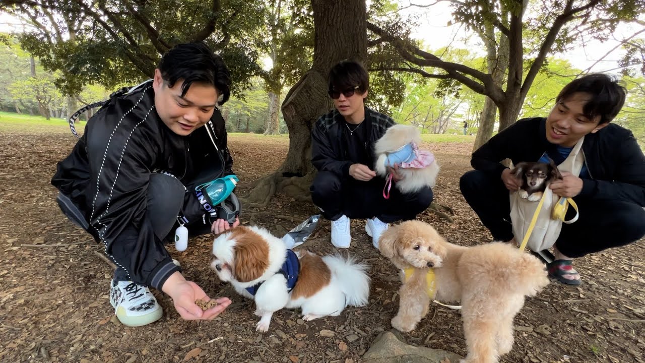 メンバー全員の愛犬が集合しました