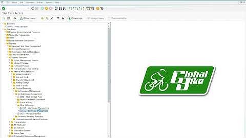 IWM 4 Step 11 Clear the differences in the inventory management