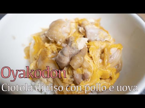 Video: Come Cucinare L'oyako Donburi (riso Con Pollo E Uova)