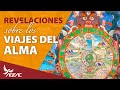 Revelaciones sobre los Viajes del Alma