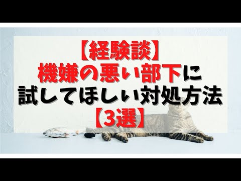 第96回【経験談】機嫌の悪い部下がいる場合試してほしい対処方法3選