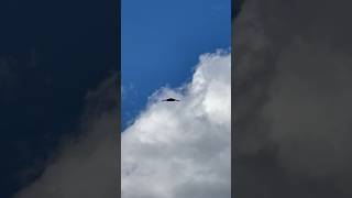 B2 Bomber arriving in Australia 2022 #bomber #B2 #raaf #usaf #australia #aviation #planespotter