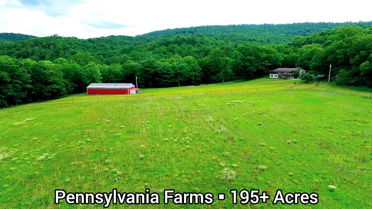 Pennsylvania Farms For Sale | 195+ Acres | Pennsylvania land For Sale | Stocked Stream Forest
