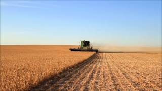North Dakota Soybean Harvest 2012