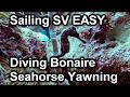 Sailing SV Easy - Diving Bonaire - Seahorse Yawning