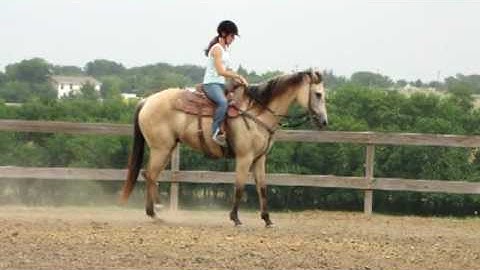 Valley View Ranch   - Asher -      ***For info, price, etc., go to our website***