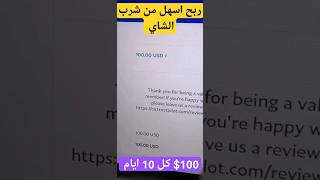 الربح من الانترنت ?