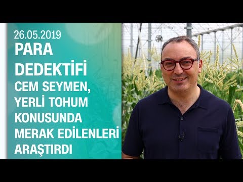 Türkiye'nin yerli tohum üretiminde merak edilen her şey - Para Dedektifi 26.05.2019