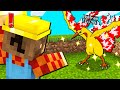 HO CATTURATO MOLTRES LEGGENDARIO NELLA PIXELMON SU MINECRAFT!!